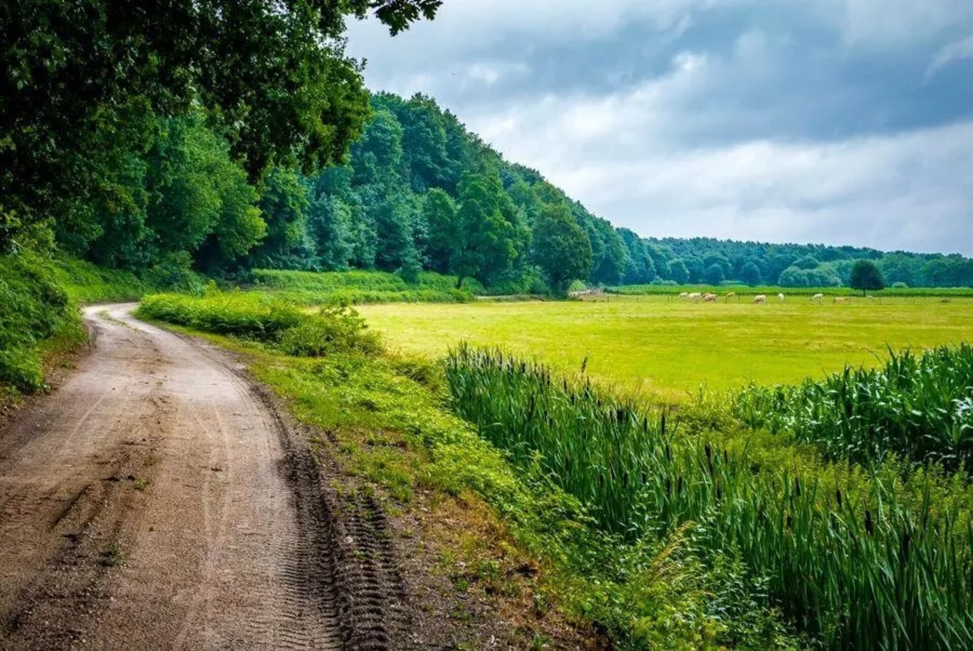 Foto Maas Niederrheinpad