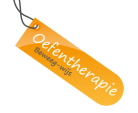 Logo Oefentherapie Beweegwijs