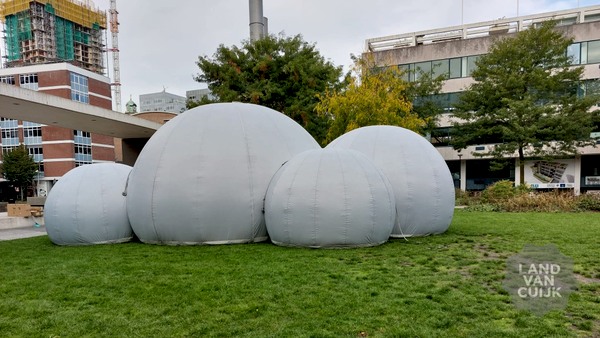Sensory MoMa