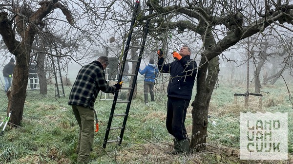 Leer fruitbomen snoeien met Historisch Groen Grave