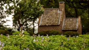 Wandeling: Tongelaar, meer dan een landgoed