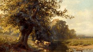 Natuurwandeling langs de Vierlingsbeekse molenbeek