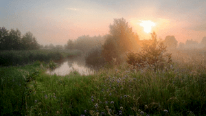 Natuurwandeling: Zevenboomsven en Quin