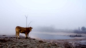 Foto-expositie: 