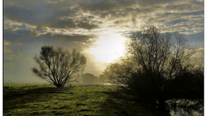 Natuurwandeling Groeningse duinen