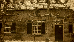 Kerstwandeling Tongelaar