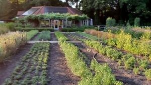 Biologisch-dynamische landbouw en het werken aan stabiele humus