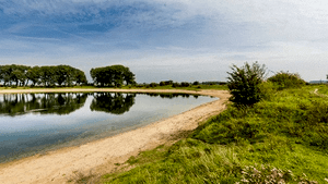 Naturwandeling Bisonbaai