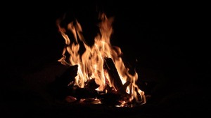 Workshop survival technieken