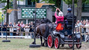 Dag van het paard