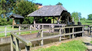 Midweekwandeling langs de Vierlingsbeekse Molenbeek