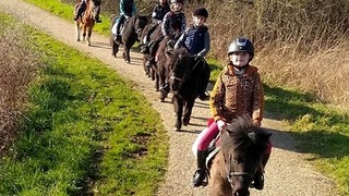 Ponykamp
