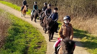Ponykamp Oeffelt