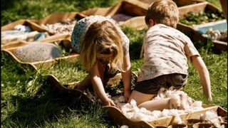 Scharrelspel in de zomertuin