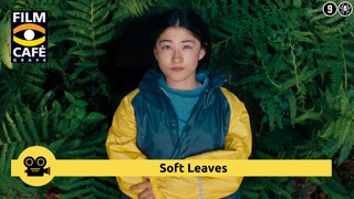 Soft Leaves