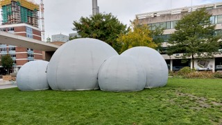 Sensory MoMa