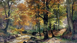Natuurwandeling Himmelthal