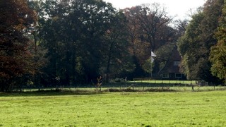 de Groote Slink