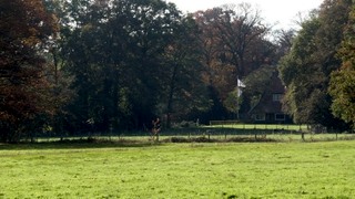 Seniorenwandeling over de Groote Slink en de Bunthorst