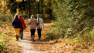 Herfstwandeling