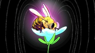 Elektrisch Leven van de natuur