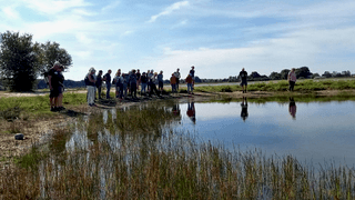 Natuurwandeling Broekse Wielen