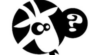 Quiz - WITTE GEI’T?