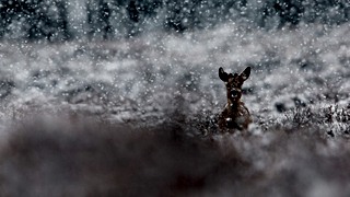 Winter op Zevenhutten