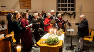 Als Appelbloesem in de winter