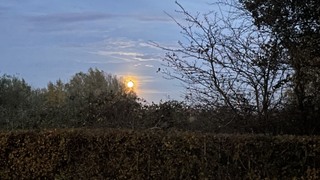 Vollemaanwandeling op Landgoed Tongelaar