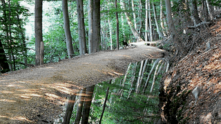 Natuurwandeling Jansberg
