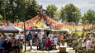 The Village Festival