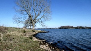 De Maas – van oerlandschap tot bedwongen rivier