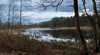 Een natuurwandeling in de Maurik en het Langven