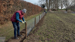 Info moestuinieren bij SamenTuin Boxmeer