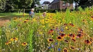 Herfstwandeling Rotary Cuijk