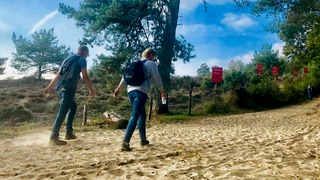 Molenhoeks Wandel Makkie