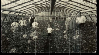 Lezing Jacques Verschuren