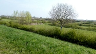 Beleef de lente in de Maasheggen