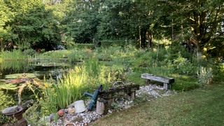 Interactieve kruidentuindagen