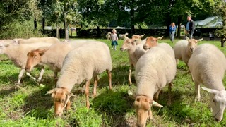 Beleef Landgoed Mookerheide