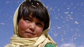 Buhdda Collapsed Out Of Shame