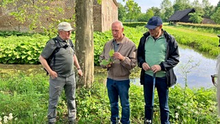 Zintuiglijke wandelingen voor blinden en slechtzienden op Tongelaar