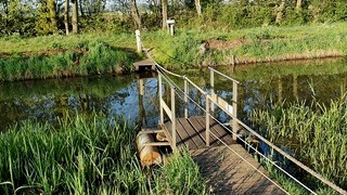Struinen door de ontginning 