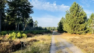 Schaapskooi van Sint Anthonis