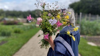 Workshop Pluk je eigen veldboeket
