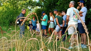 9 augustus: Zomerwandeling voor blinden en slechtzienden op Tongelaar