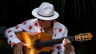 Flamenco bij volle maan in Beeldentuin Cuijk
