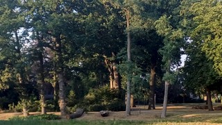Groene oase in Boxmeer