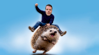 Martijn Koning - Overprikkeld